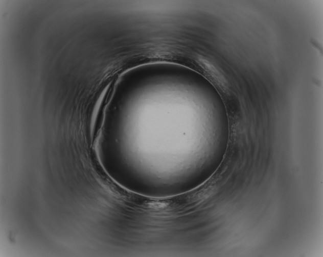X0000091450265200708231301