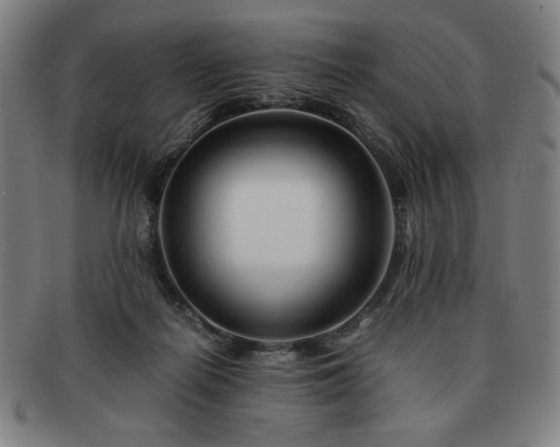 X0000091450266200708231301