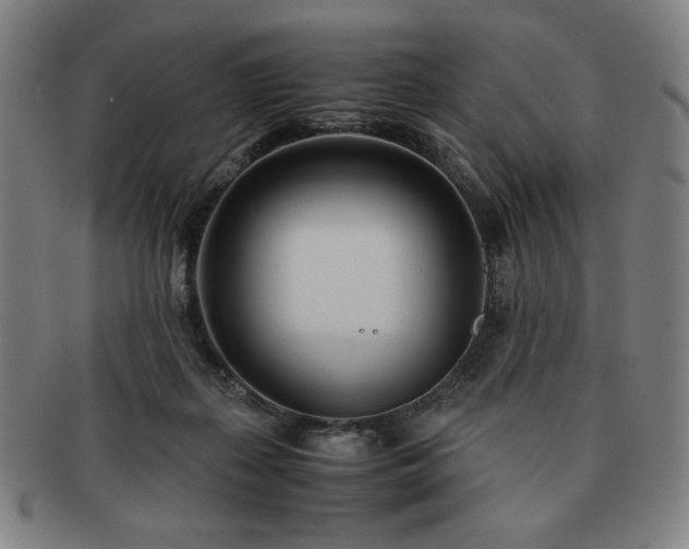 X0000091450267200708231301