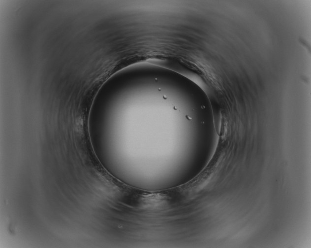 X0000091450269200708231301