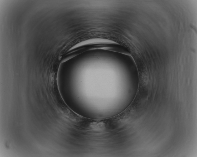 X0000091450271200708231301