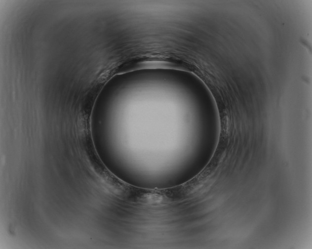 X0000091450272200708231301