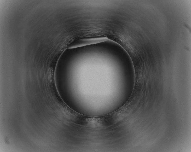 X0000091450273200708231301