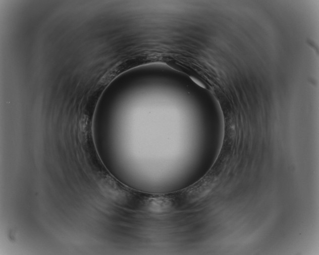 X0000091450275200708231301