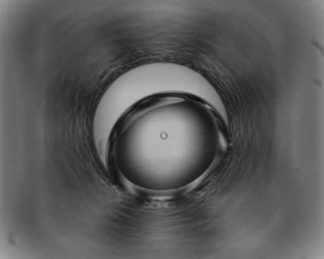 X0000091450276200708231301