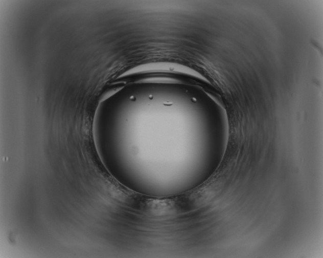 X0000091450277200708231301