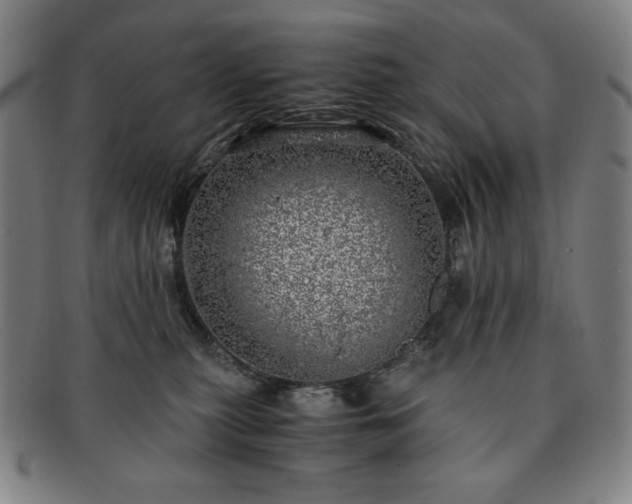 X0000091450279200708231301