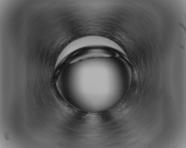 X0000091450280200708231301