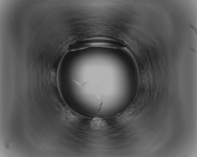 X0000091450281200708231302