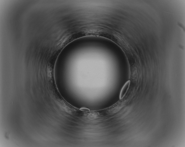X0000091450282200708231302