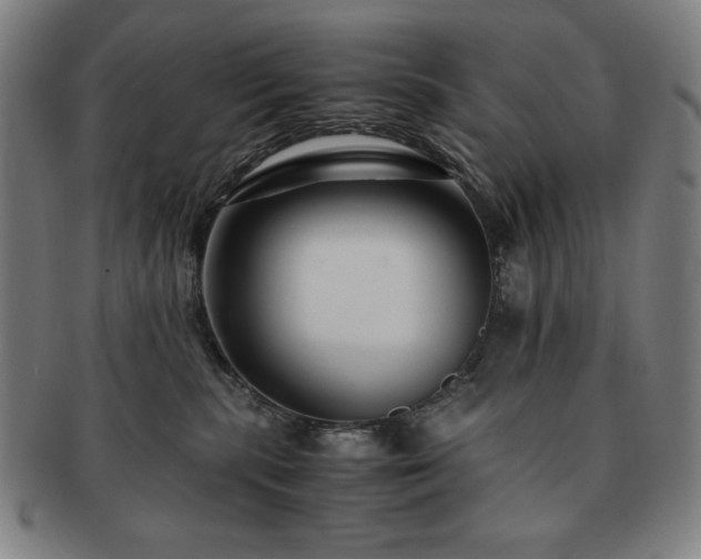 X0000091450283200708231302
