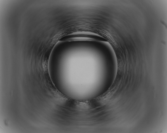 X0000091450285200708231302