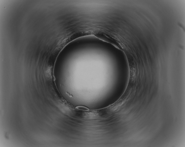 X0000091450286200708231302