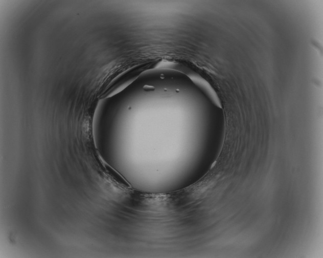 X0000091450288200708231302