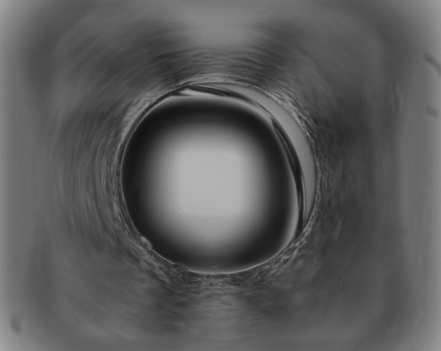 X0000091450289200708231301
