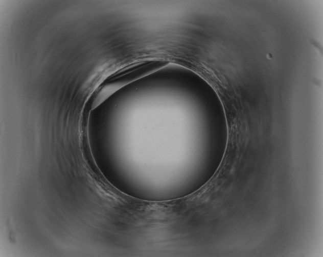 X0000091450290200708231301