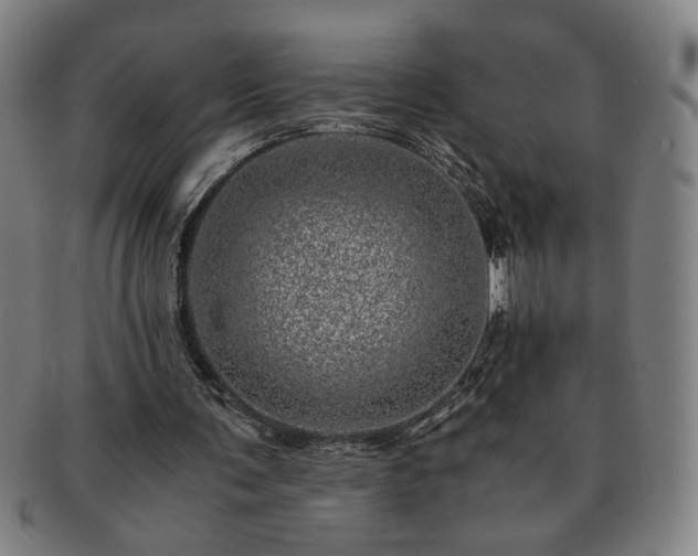 X0000091450291200708231301