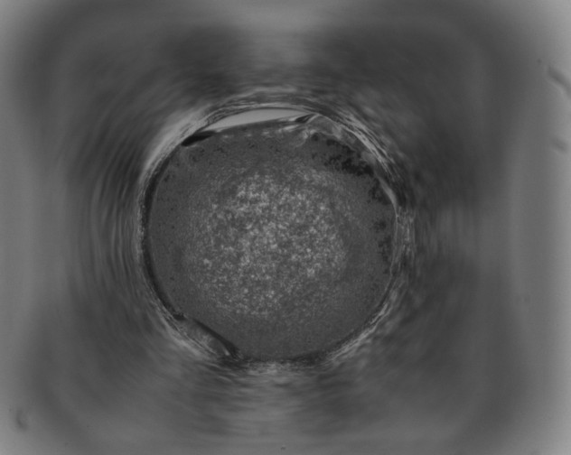 X0000091450293200708231301