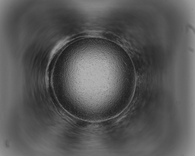 X0000091450294200708231301