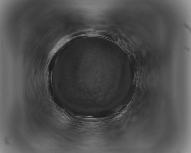 X0000091450295200708231301