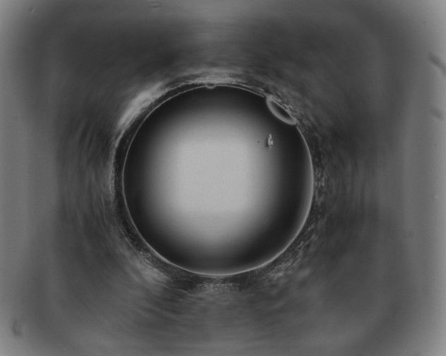 X0000091450296200708231301
