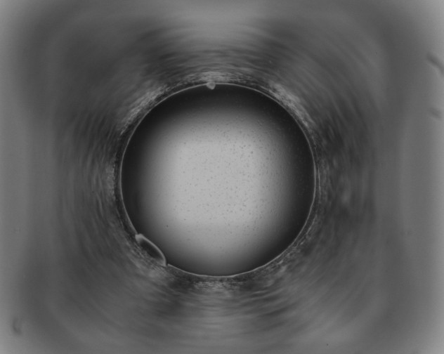 X0000091450297200708231301