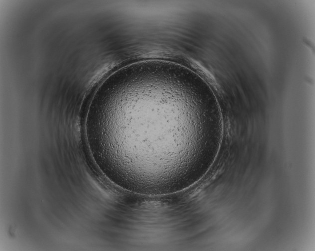 X0000091450298200708231301