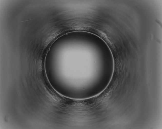 X0000091450299200708231301