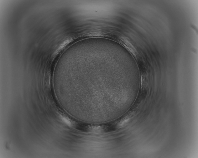 X0000091450301200708231301