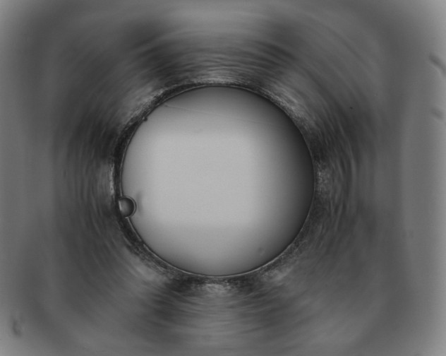 X0000091450302200708231301