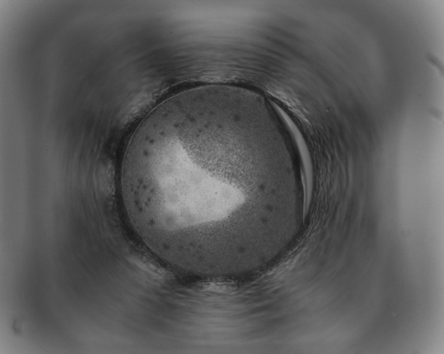 X0000091450303200708231301