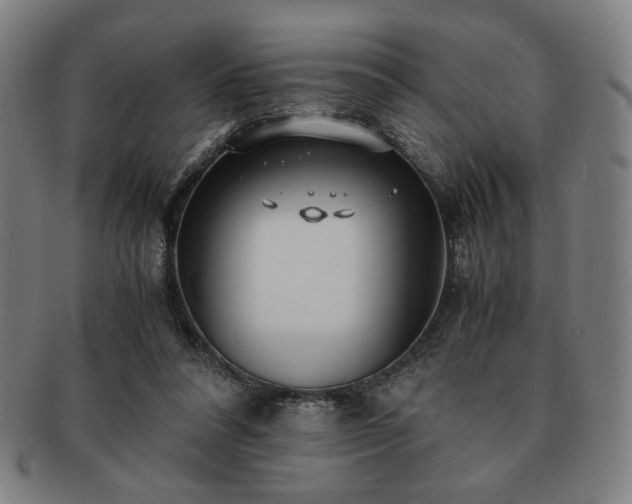 X0000091450304200708231301