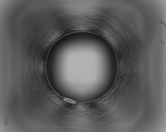 X0000091450305200708231301