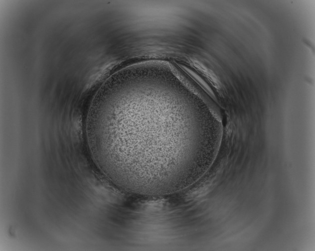 X0000091450306200708231301
