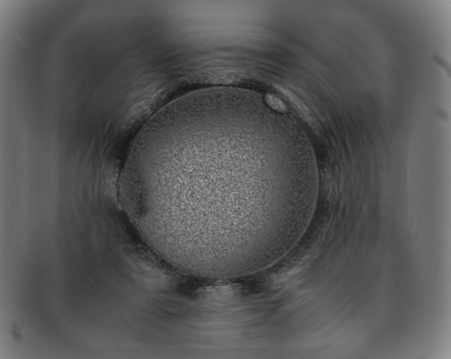 X0000091450307200708231301