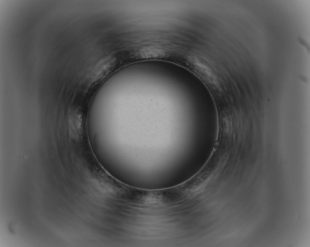 X0000091450308200708231301