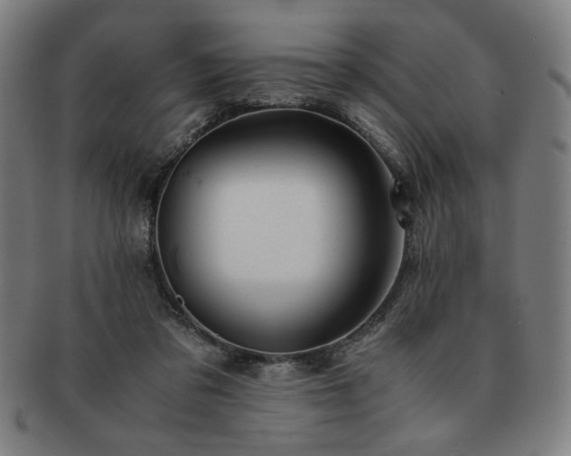 X0000091450309200708231301