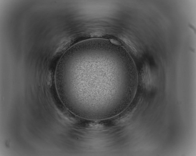 X0000091450311200708231300