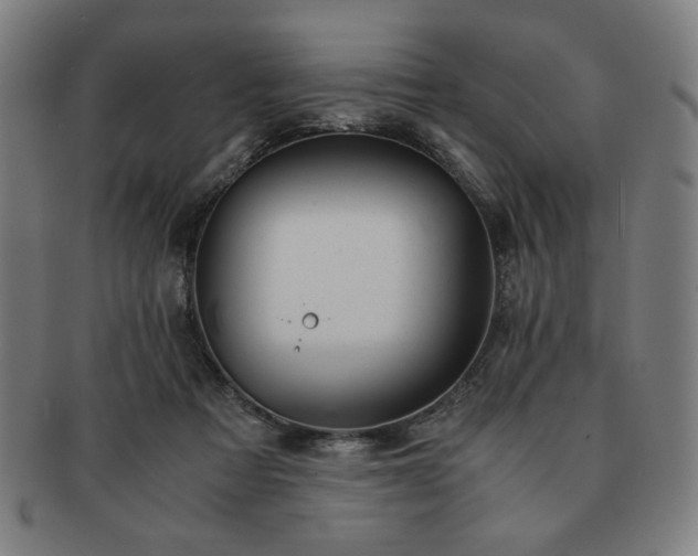 X0000091450313200708231300