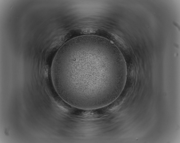 X0000091450315200708231300