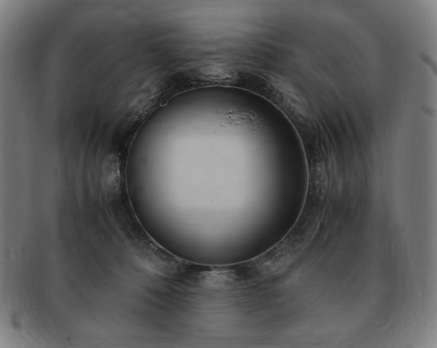 X0000091450320200708231300