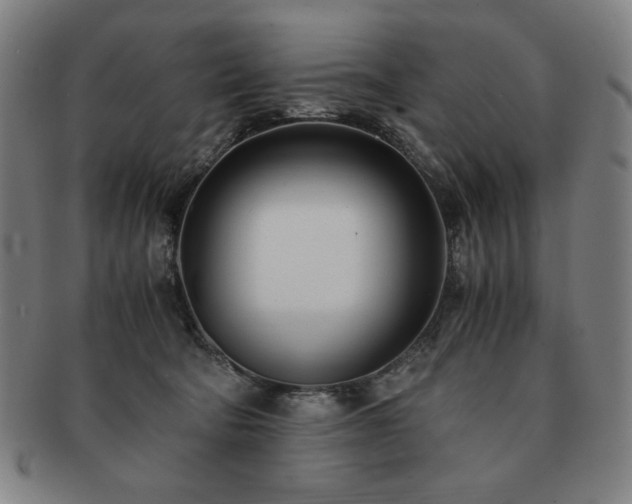 X0000091450322200708231300