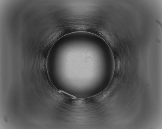 X0000091450325200708231300