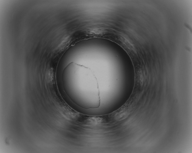 X0000091450328200708231300