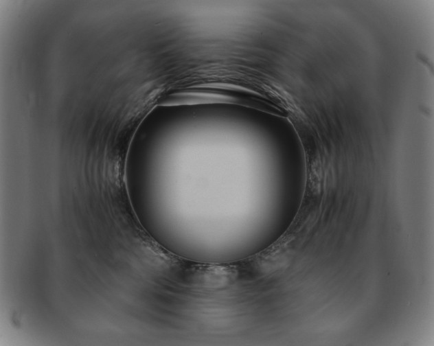 X0000091450330200708231300