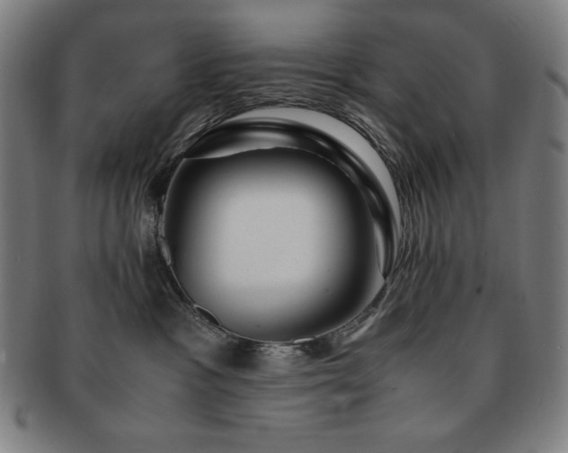 X0000091450333200708231300