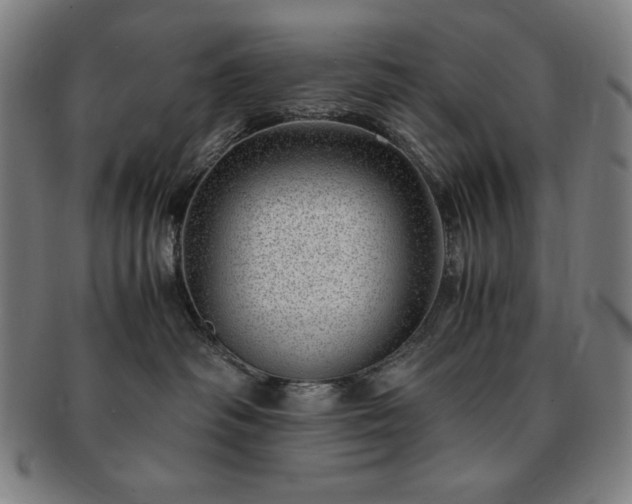 X0000091450334200708231300