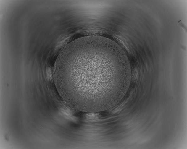 X0000091450335200708231300