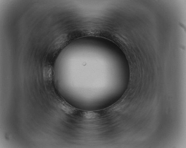X0000091450336200708231300