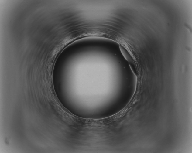 X0000091450337200708231259